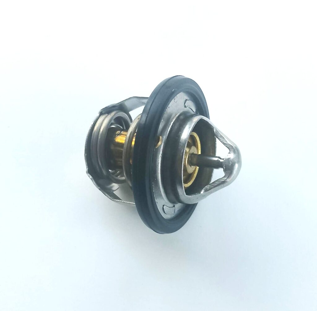 B0101865 – TERMOSTATO COMPLETO